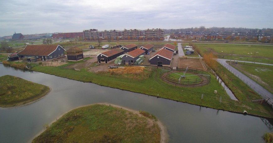 de-kleine-duiker-1.jpg de-kleine-duiker-1.jpg