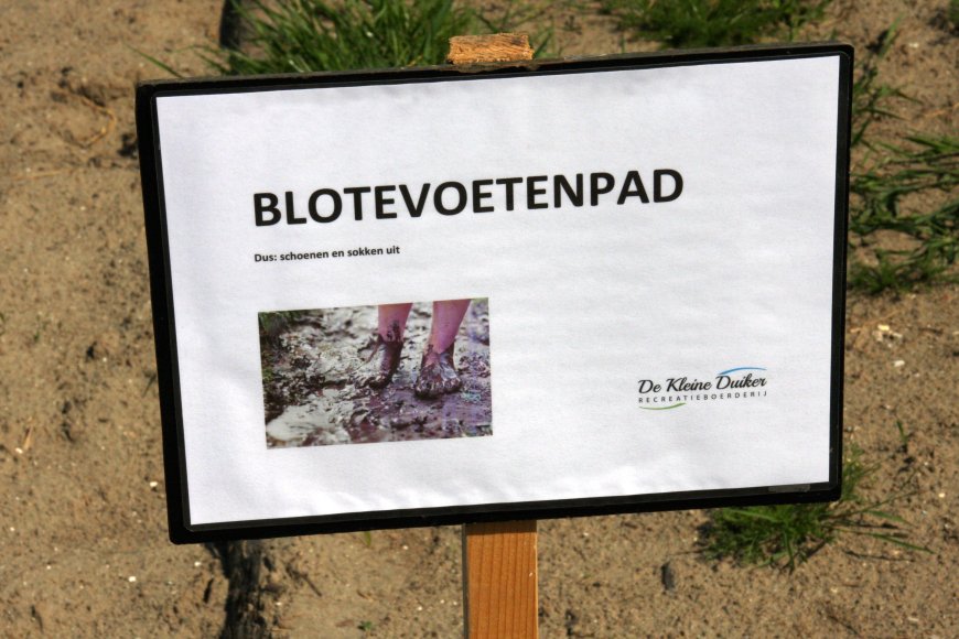 de-kleine-duiker-2.jpg de-kleine-duiker-2.jpg