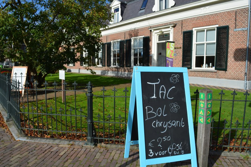 trectoraat-1.jpg trectoraat-1.jpg